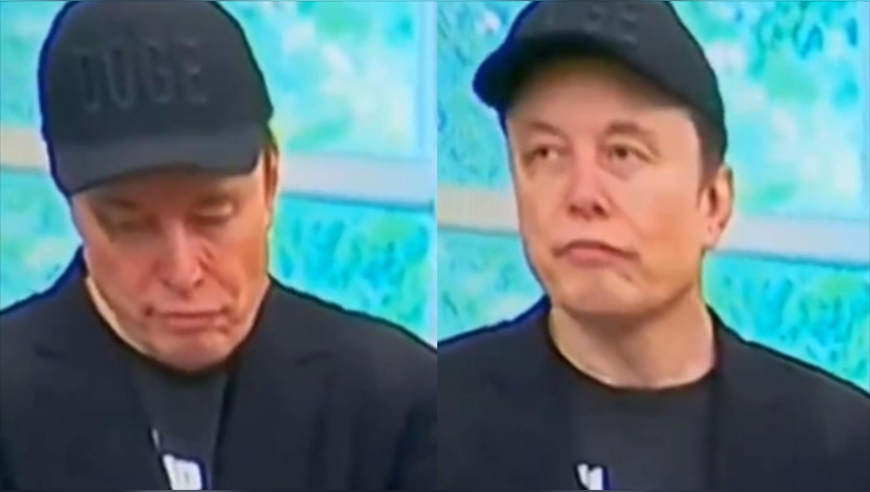 澳门传真资料大全2025,我的美由我自己说了算,精准解释落实的人生哲理_交互版V7.13